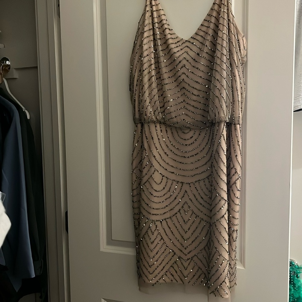 Cocktail Dress from Adriana Papell, size 20W, never worn